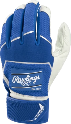 Rawlings WH22BG Workhorse Baseball