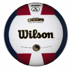 Wilson I-Cor Hi Performance Indoor Ball (WTH7700XR)